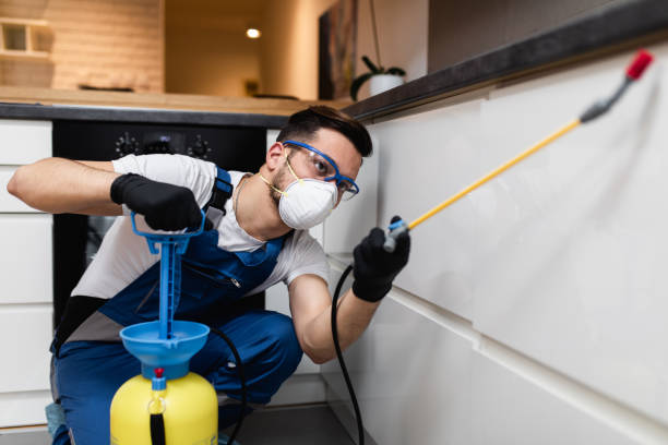 Best Termite Control Services  in Lyndonville, VT