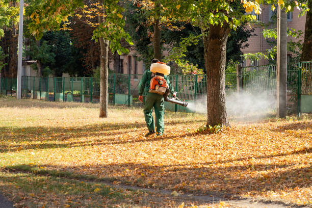 Lyndonville, VT Pest Control Company